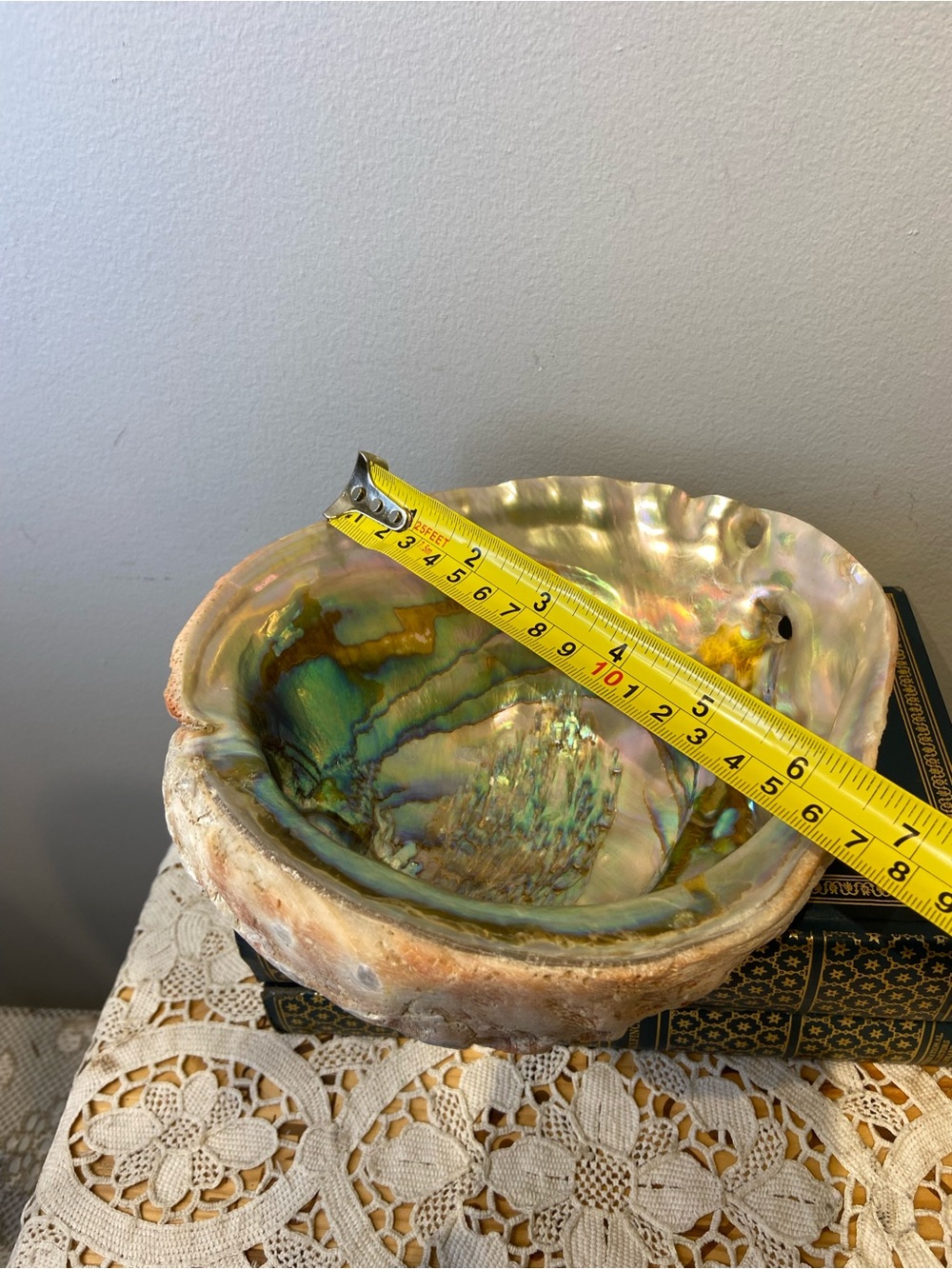 LARGE Abalone Shell - Picture 6 of 7